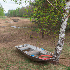 Boat in spring forest
