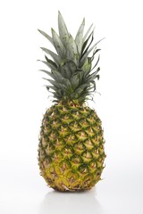 Fototapeta premium Colourful fresh pineapple white background