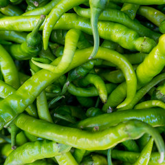 Fresh chilli peppers