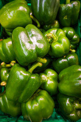 Obraz na płótnie Canvas green bell peppers closeup