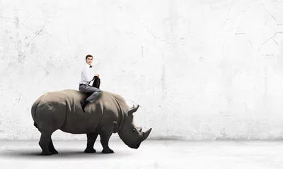 Mann, der Nashorn sattelt © Sergey Nivens