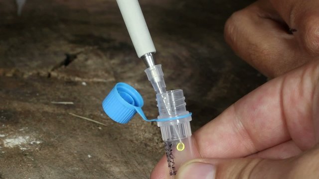 Snake venom in a vial