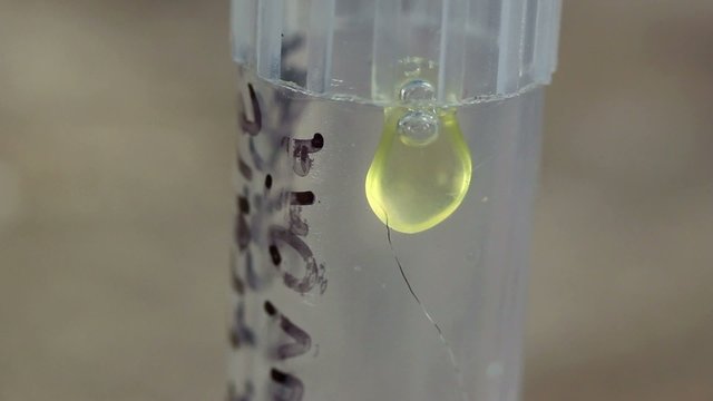 Snake venom in a vial