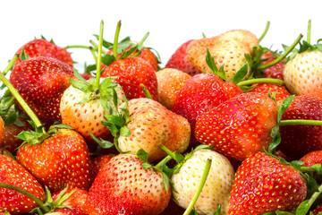 Fresh strawberry on white background