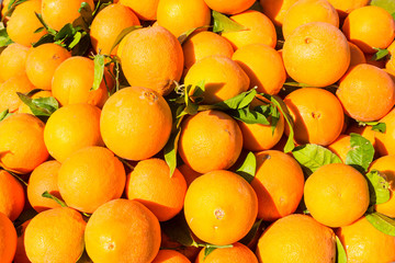 Oranges