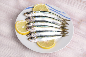 sarde - sardines - сардины - sardinas