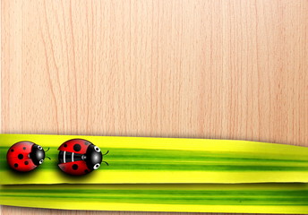 Fototapeta premium background