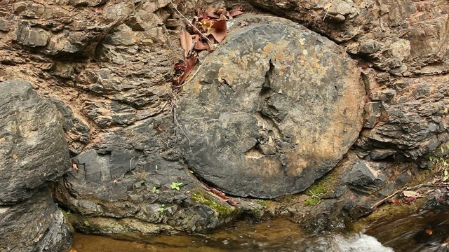 Puyango Petrified Forest in southern Ecuador.