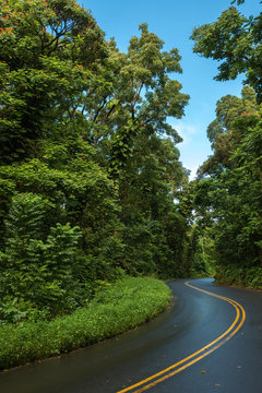 Road To Hana