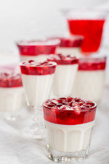 pannacotta  with pomegranate jelly
