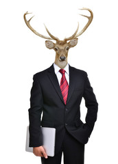 business man with animal head isolated