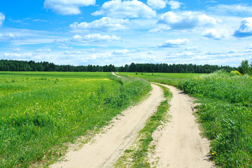 rural summer landscape with the road and a field
