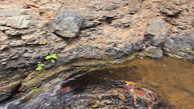 Puyango Petrified Forest in southern Ecuador.