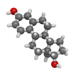 Estradiol female sex hormone, molecular model.