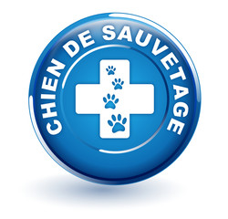 chien de sauvetage sur bouton bleu