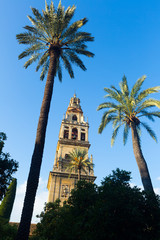 Fototapeta na wymiar Bell tower of Cordoba Cathedral