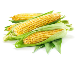 Corn