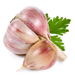 garlic