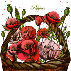 Illustrations with poppies in a wicker basket.