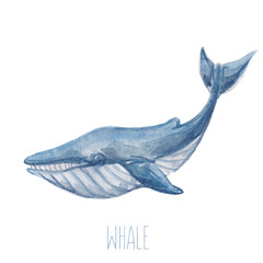 Naklejka premium Watercolor whale