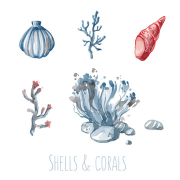 Watercolor set of shells and corals