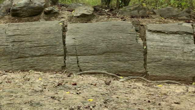 Puyango Petrified Forest in southern Ecuador.