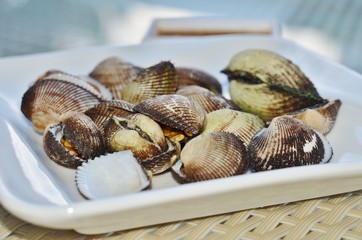 Acanthocardia- edible clam on a white plate