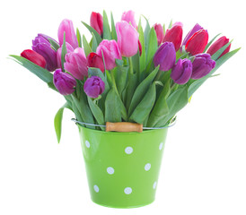 bouquet of  red and purple  tulip flowers