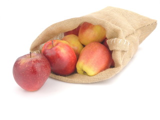 A bag of home-grown ripe apples