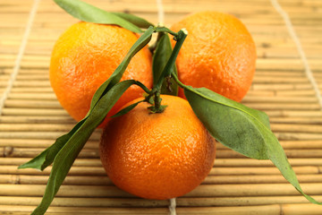 clémentines
