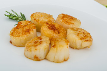 Grilled scallops