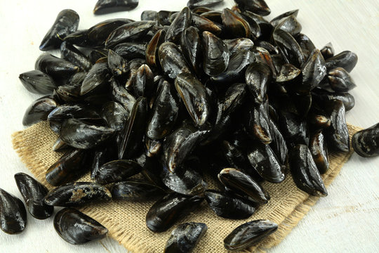 moules