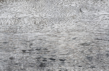 gray of old wood texture and background
