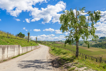 Rural road under blue sky in Italy.