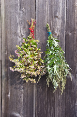 buckwheat and  mugwort Artemisia vulgaris bunch on old wall