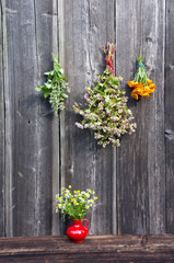 medical herbs bunch on wall and red vase with chamomile