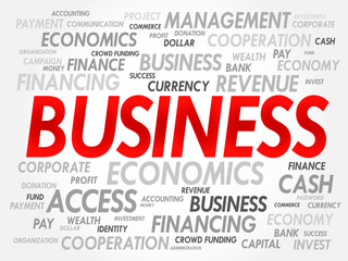 BUSINESS word cloud concept