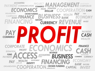 PROFIT word cloud, business concept