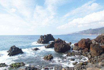 Fototapeta na wymiar Canical, Madeira, Portugal, Europe