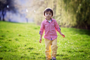 Little boy, running in the park, chasing soap bubbles, nice back