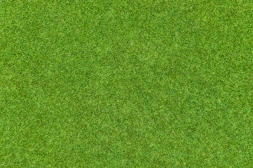 Schönes Muster des grünen Grases vom Golfplatz