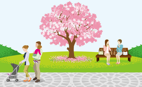 Cherry Tree and Cheerful People in Spring Park