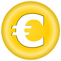 Euro icon