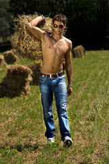 Good looking man carry hay © arvin