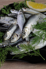 salted sprats