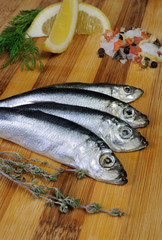 salted sprats