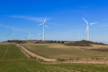 wind farm