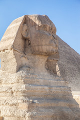 Fototapeta na wymiar A beautiful profile of the Great Sphinx