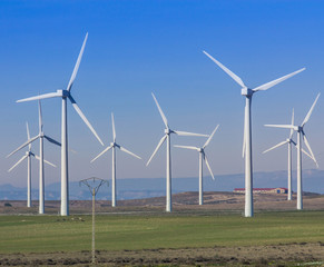 wind farm
