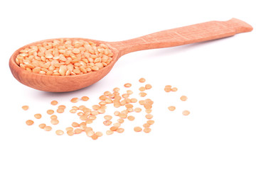 Red lentils in a spoon